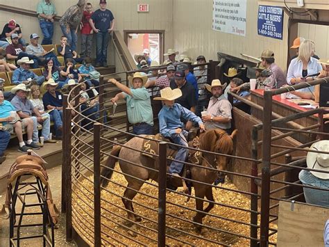 Union City Livestock Auction. . New holland horse auction schedule 2022